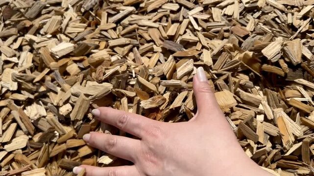 sawdust and wood shavings