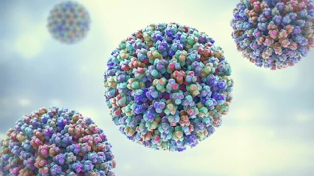 Bluetongue virus particles, 3D animation showing slowly rotating double-stranded RNA orbivirus virions, illustrating infectious disease of ruminants.