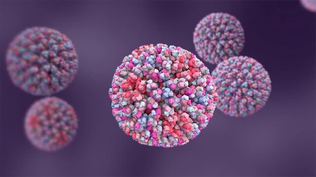 Bluetongue virus particles, 3D animation showing slowly rotating double-stranded RNA orbivirus virions, illustrating infectious disease of ruminants.