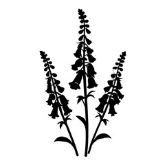 Digitalis Foxglove Silhouette, Botanical Vector Art, Woodland Flower Illustration, Elegant Floral Design Element, Nature Silhouette © SUMON