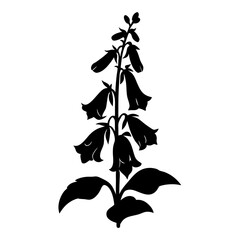 Digitalis Flower Silhouette, Bell-Shaped Blooms, Woodland Plant Vector Art, Botanical Illustration, Nature Element © SUMON
