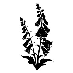 Elegant Foxglove Silhouette Vector, Wildflower Botanical Illustration, Woodland Floral Design Element, Black and White Nature Art © SUMON