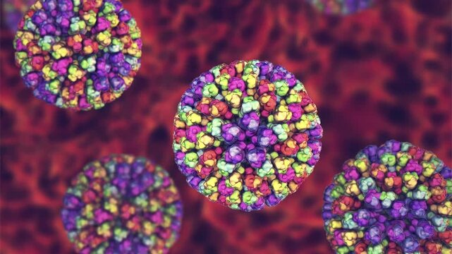 Bluetongue virus particles, 3D animation showing slowly rotating double-stranded RNA orbivirus virions, illustrating infectious disease of ruminants.