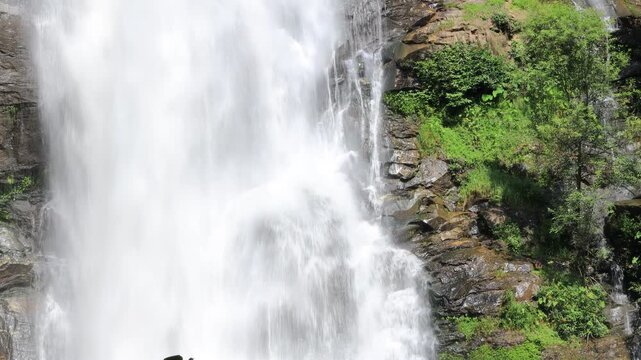 The natural video background of water flowing from high mountains, amidst various forests. The beauty of natural waterfalls is a habitat for various animals. It is worth preserving.