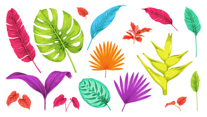 Colorful flat illustration of ocean sea creatures and coral reef elements © MstUmratun