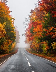 Obraz premium A serene autumn road stretching into the foggy distance, lined with vibrant fall foliage