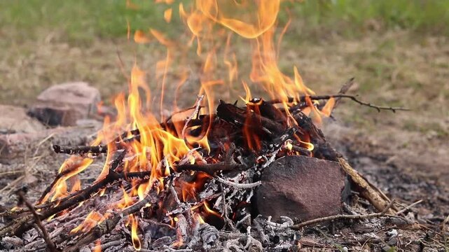 Bonfire close-up. Lighting a bonfire on a hike or during a picnic. Bonfire on open ground. Detailed view of burning wood and flames. A burning bonfire made of dry wooden branches and brushwood