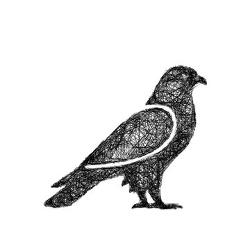 Sketch black and white hawk icon design