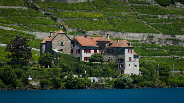 View of the historic Chateau de Glerolles and the terraced Les vignes de Lavaux overlooking Lake Geneva Bourg-en-Lavaux, Vaud, Switzerland.