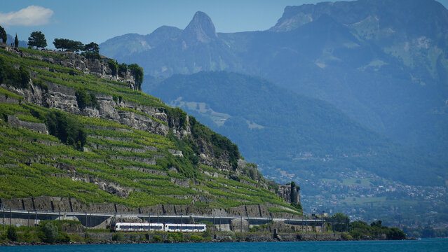 View of the terraced vineyards of Lavaux with a train passing along the shore of Lake Geneva under a clear blue sky and distant mountains Bourg-en-Lavaux, Vaud, Switzerland.