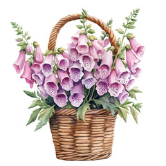 Foxglove Bouquet In A Basket, watercolor, vector, isolated on a white background. © yalora