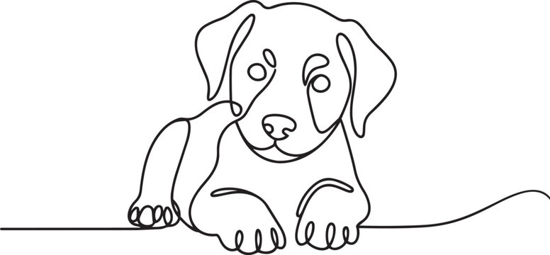 A cute line drawn puppy peeking over a line