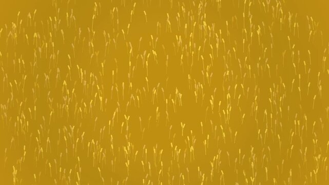 Golden grass particles rising in a soft motion graphics animation background loop