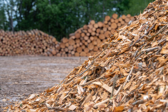 Wood chip biomass fuel pile with stacked timber logs at forestry storage site