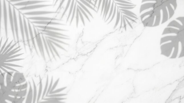 tropical palm leaves marble white gray shadow plants nature background texture design interior decor wallpaper minimalist monstera fern palm tree leafy green pattern abstract stone