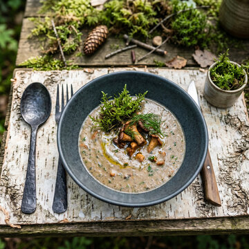 Velout&eacute; gastronomique aux girolles sauvages servi sur un plateau d'&eacute;corce de bouleau