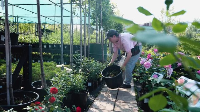 A professional female gardener works in a garden center or nursery, caring for plants, overseeing watering, fertilizing, pruning, replanting, and pest control. She ensures the plants are healthy