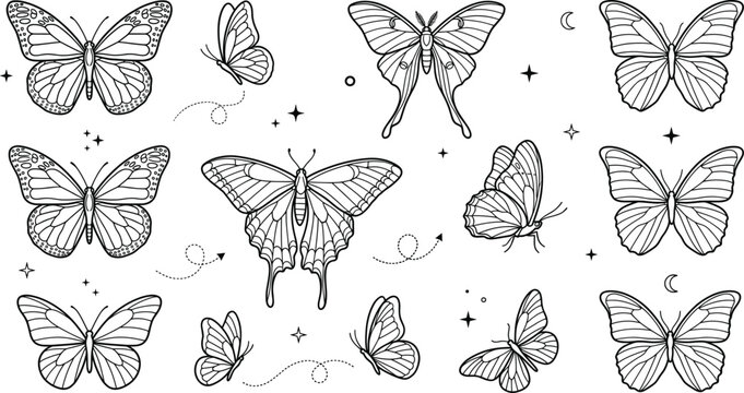 Celestial butterfly and moth vector line art set with celestial stars and mystical moon elements