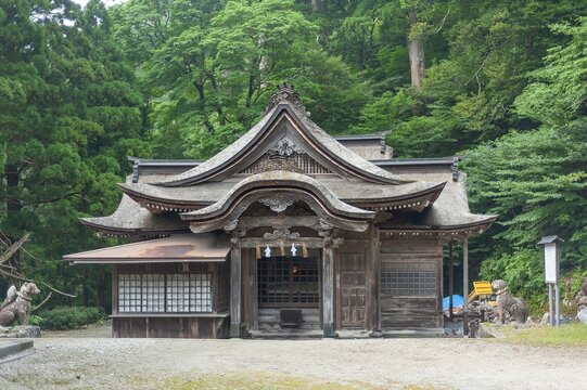 大山寺の境内に佇む新緑に囲まれた厳かな下山神社の社殿/The Solemn Main Hall of Shimoyama Shrine Surrounded by Fresh Greenery Standing on the Grounds of Daisenji Temple
