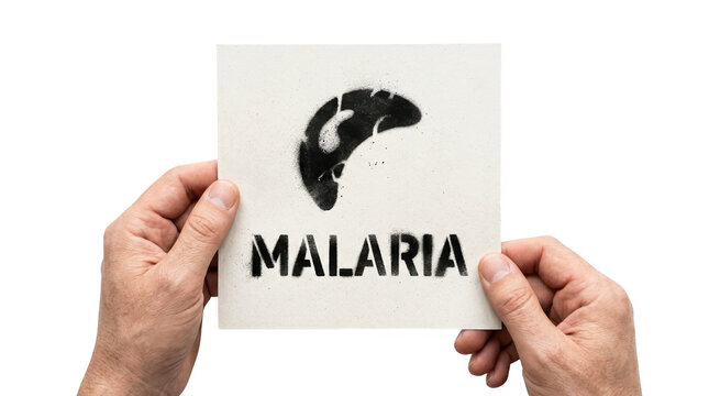 Awareness campaign against malaria global health issues stencil artwork creative perspective