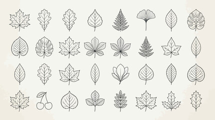 Collection of botanical leaf and berry line art icons. © Wijaksono