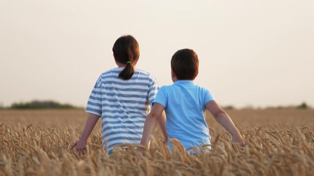 Joyful kids run through wheat field, back rear view. Funny siblings kids running across agricultural field. Kids feel lightness freedom carelessness. Children enthusiastically cross rush across meadow