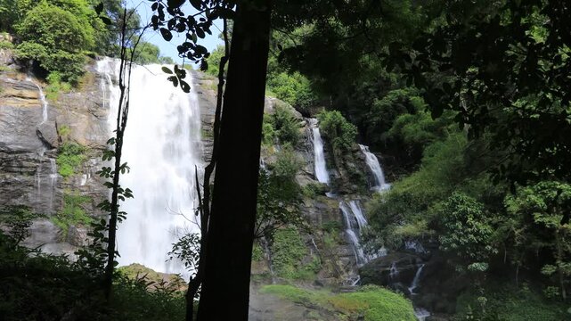 The natural video background of water flowing from high mountains, amidst various forests. The beauty of natural waterfalls is a habitat for various animals. It is worth preserving.