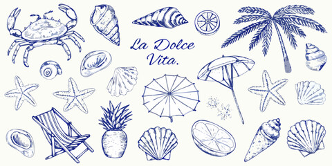 Vintage style illustration of seashells crabs and beach elements in blue © Endrajit