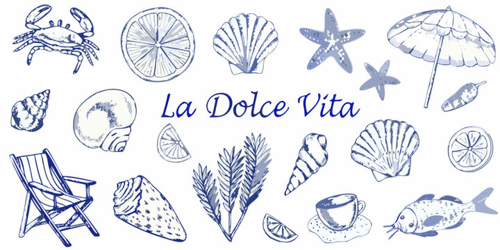 Seashells crabs citrus and beach elements in a blue toned sketch illustration