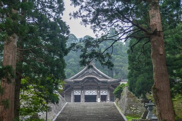 大神山神社奥宮の長く続く石段の先にそびえる厳かな権現造の社殿と新緑の巨木林/The Solemn Gongen-Zukuri Style Main Hall Towering Beyond the Long Stone Steps of Ogamiyama Shrine Okumiya and a Forest of Giant Trees with Fresh Greenery © Taketo Miyajima