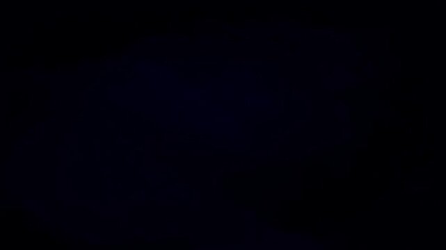 Pure black background, a versatile canvas for design, art, or dramatic compositions, symbolizing depth, mystery, and infinite creative potential for visual projects