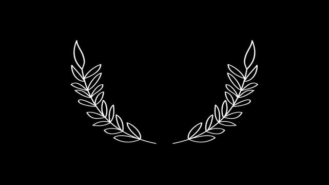 Elegant laurel leaf half wreath animation on black, white, and green screen backgrounds for easy overlay and video integration.