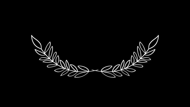 Elegant laurel leaf animation on black, white, and green screen backgrounds for easy overlay and video integration.