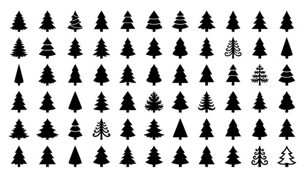 Collection of diverse evergreen tree silhouettes for seasonal design