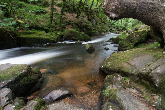 Golitha Falls Bodmin Moor Cornwall England