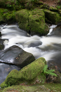 Golitha Falls Bodmin Moor Cornwall England