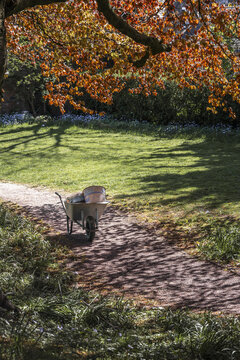 View of a wheelbarrow on a gravel path under the overhanging branches of a tree with orange leaves in a sunny garden in Lancaster, England, United Kingdom.