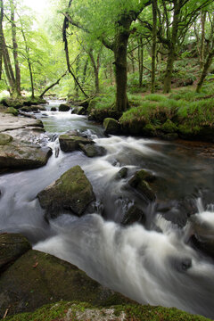 Golitha Falls Bodmin Moor Cornwall England