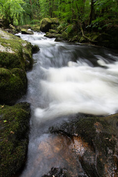 Golitha Falls Bodmin Moor Cornwall England