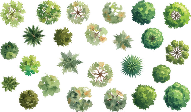 Watercolor tree top view collection, 24 landscape architecture symbols, green garden plant icons for site plan design