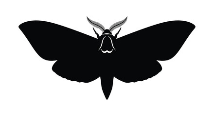 Moth silhouette against a white background silhouette © design creation