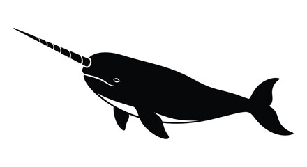 Narwhal whale silhouette against a white background silhouette © design creation