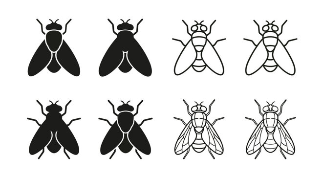 Fly Illustrations Black And White Line Art Designs