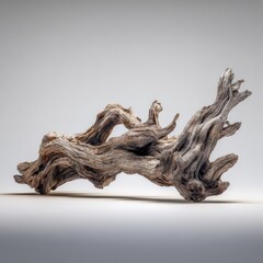 Fototapeta premium Large Gnarly Driftwood on Neutral Background