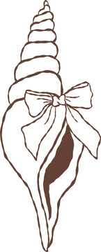 Cute hand drawn slender screw seashell with ribbon bow outline illustration