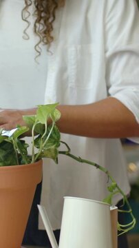 Vertical video: Camera lifting, person in white tee tending pothos in pot with water can by window