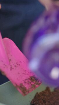 Vertical video: Grabbing pink trowel as it enters, hands tamping soil on table securing sprout