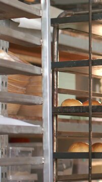Vertical video: Shifting camera revealing metal multi-tier rack in bakery showing brown roll trays