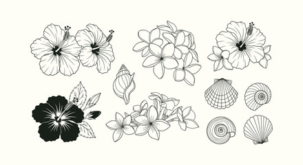 Minimalist Tropical Botanical Line Art Collection Featuring Hibiscus Plumeria Flowers and Shells © vectorial