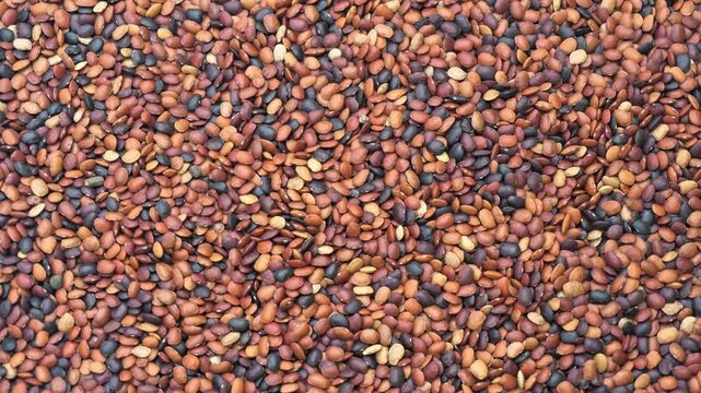 Close Up of Raw Horse Gram Seeds Texture for Organic Food Background Video.